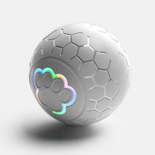 Pawra Interactive Smart Ball